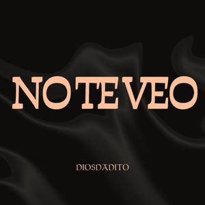NO TE VEO
