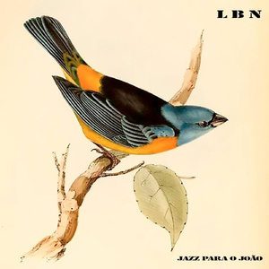 Jazz Para O João