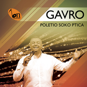 Poletio soko ptica