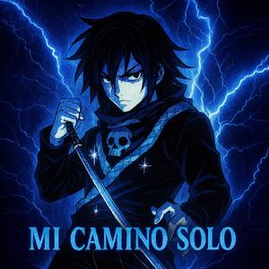 MI CAMINO SOLO