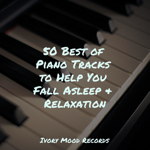 Solemn Echoes in Silence