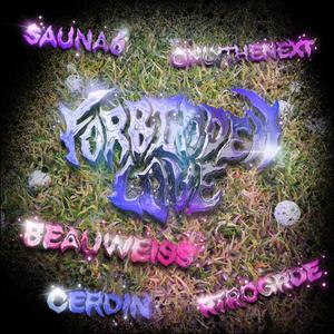 Forbidden Love (feat. Maiah Manser) (Sauna6 Remix)