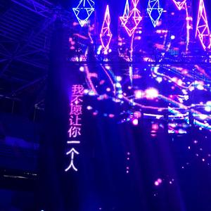 我不愿让你一个人