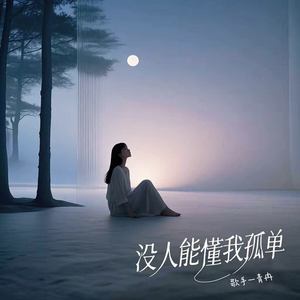 没人能懂我孤单