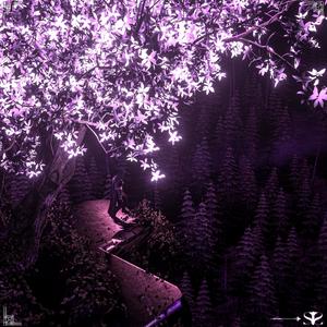 what am i doing here