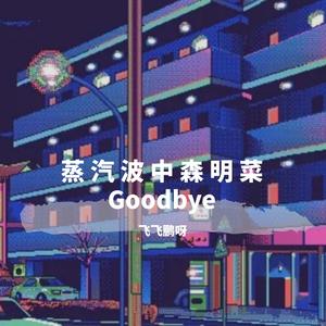 蒸 汽 波 中 森 明 菜 GoodBye