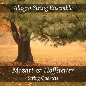 String Quartet No. 2 in D Major, K. 155/134a: I. Allegro