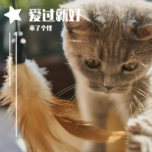 我不后悔（女生版）