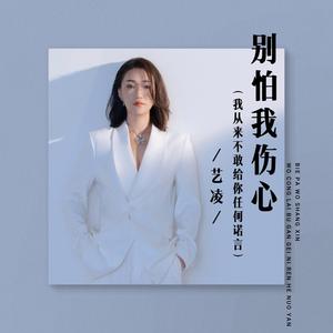 别怕我伤心 (我从来不敢给你任何诺言)