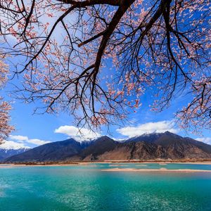 像我这样的人（Lonely）