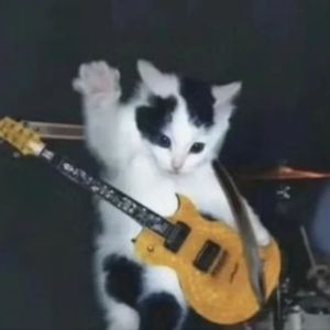 " 超级摇滚小猫 "！！The Kid Laroi X Polo G Type Beat ！！