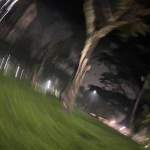 Echoes (Demo)