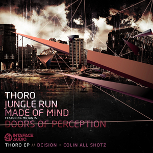 Thoro (Original Mix)