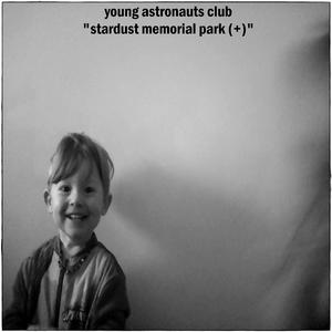 Stardust Memorial Park X