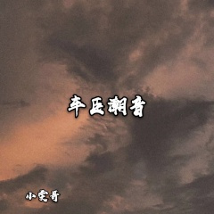 千杯烈酒喝不够 (DJ版)