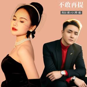 不敢再提