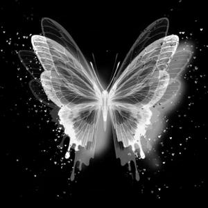 八月（你是风儿吹过耳朵）