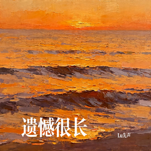 遗 憾 很 长