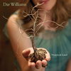 Dar Williams - Midnight Radio