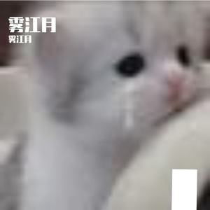 阳光舞步中的心跳欢歌
