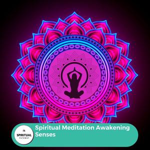 The Flower Petals (Spiritual Meditation)