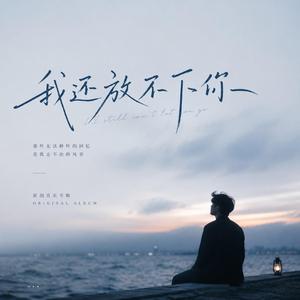 我还放不下你