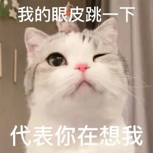 조으다 완전 조으다（喜欢真的好喜欢）