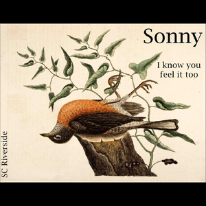 Sonny (I Know You Feel It Too)