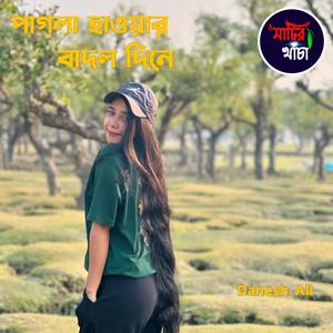 পাগলা হাওয়ার বাদল দিনে