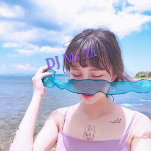 DJ Mr.Zi - 也许你可以什么都没有（DJ Mr.Zi remix）