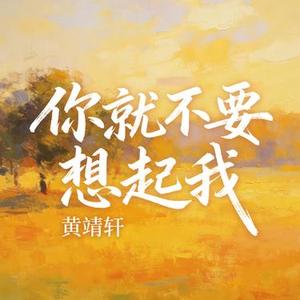你就不要想起我 (Cover 田馥甄)