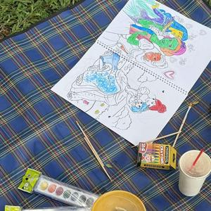 What's Your Favorite Color?