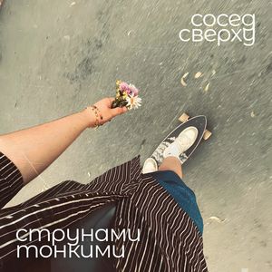 Струнами тонкими