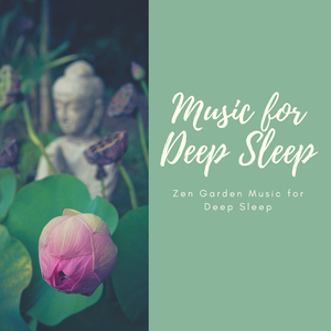 Deep Sleep Hypnosis