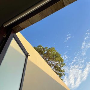 风在呼唤我的名字