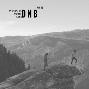 Mashout (Original Mix)