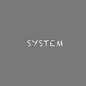 System