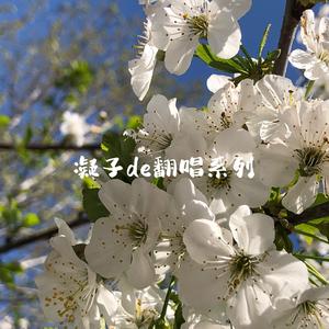 不舍（献祭曲）