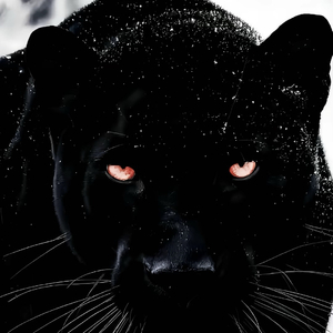 手中长枪定江山