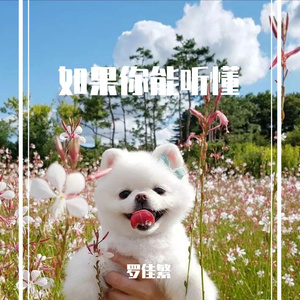 如果你能听懂(Prod EVOMUSIC )