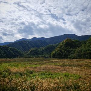街灯亮起夜色多美丽
