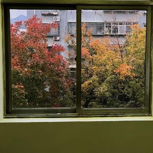 身边有你的年纪