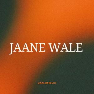 JAANE WALE