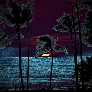 home in the evening