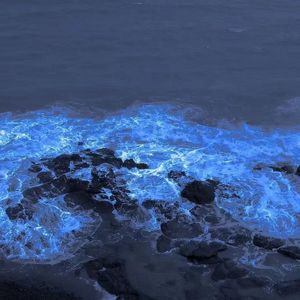 悲伤海（Prod.Ray×Wayv）