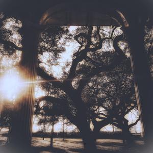 For I Have Loved Thee Ever