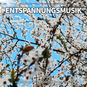 Musik gegen Panikattacken