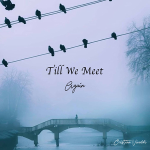 Till We Meet Again