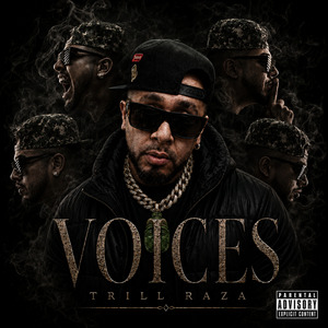 Voices