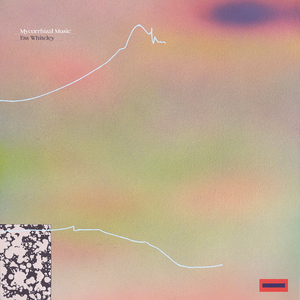 Interspecies Magicians